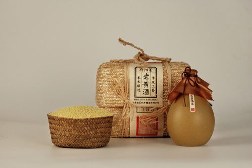 莱州府 酒品牌产品包装设计